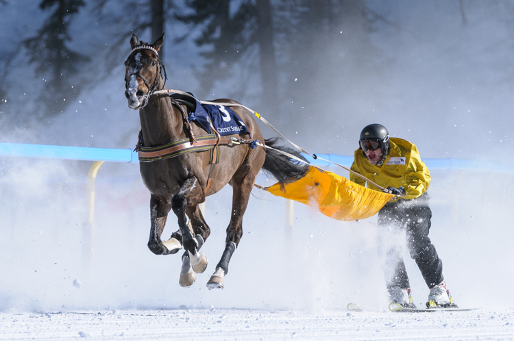 , Skikjöring, 2700m, CREDIT SUISSE - GP of Celerina, CHF 15000, Skikjöring, 2700m, CREDIT SUISSE - GP of Celerina, CHF 15000