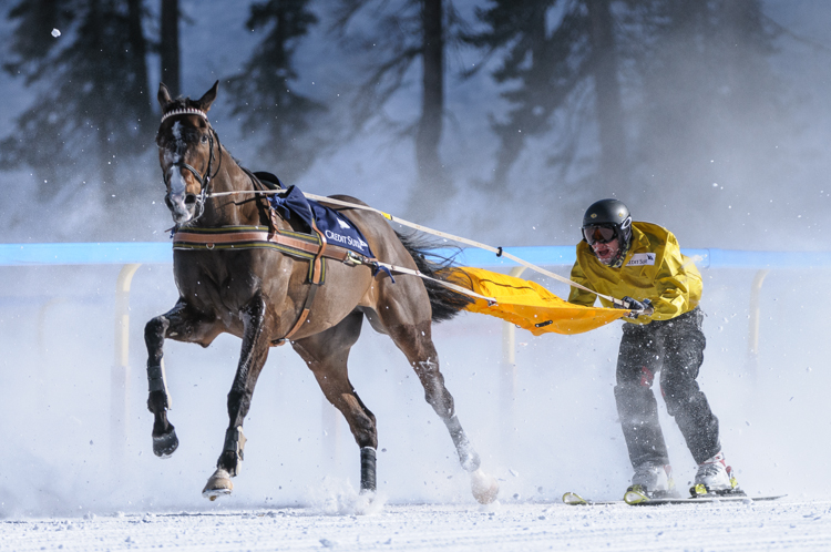 , Skikjöring, 2700m, CREDIT SUISSE - GP of Celerina, CHF 15000, Skikjöring, 2700m, CREDIT SUISSE - GP of Celerina, CHF 15000