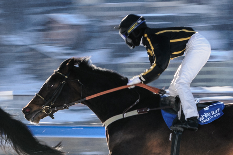 , Flat race, 1900m, Preis Top Events of Switzerland und Galopprenn, Flat race, 1900m, Preis Top Events of Switzerland und Galopprennfreunde Schweiz, CHF 10000