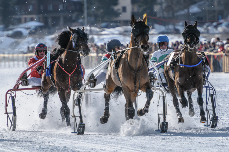 , Trotting race, 1700m, Grand Prix BMW, CHF 25000