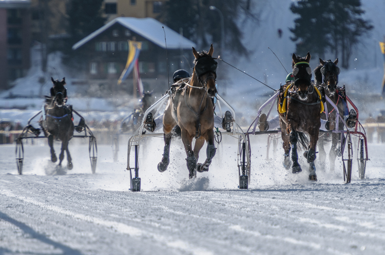 , Trotting race, 1700m, Grand Prix BMW, CHF 25000