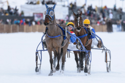 , Trotting race, 1700m, GP Data Quest, CHF 15000