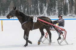 , Trotting race, 1700m, GP Data Quest, CHF 15000