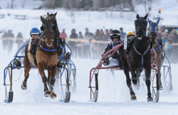 , Trotting race, 1700m, GP Data Quest, CHF 15000