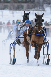 , Trotting race, 1700m, GP Data Quest, CHF 15000