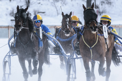 , Trotting race, 1700m, GP Data Quest, CHF 15000