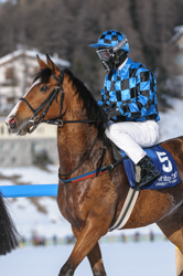 , Flat race, 1800m, Preis Hotellerie Suisse St. Moritz und Galopprennfreunde Schweiz, CHF 10000