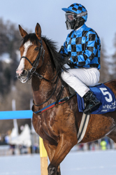 , Flat race, 1800m, Preis Hotellerie Suisse St. Moritz und Galopprennfreunde Schweiz, CHF 10000