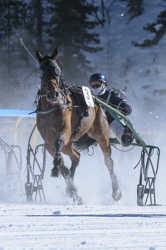 , Trotting race, 1700m, GP PRESTIGE, CHF 15000, Trotting race, 1700m, GP PRESTIGE, CHF 15000