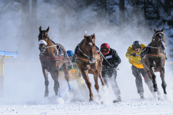 , Skikjöring, 2700m, CREDIT SUISSE - GP of Celerina, CHF 15000, Skikjöring, 2700m, CREDIT SUISSE - GP of Celerina, CHF 15000