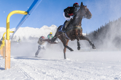 , Prominent Skikjöring, 1500m, Presented by BMW (Schweiz) AG and C