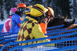 indexPageImage, Flat race, 1900m, GP Christoffel Bau Trophy, CHF 18000, Flat race, 1900m, GP Christoffel Bau Trophy, CHF 18000