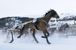 , Trotting race, 1700m, GP Data Quest, CHF 15000.-