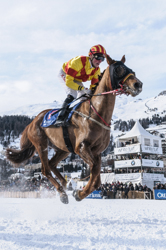 , Flat race, 1800m, Sheikh Zayed Bin Sultan Al Nahyan Listed Cup, CHF 30000