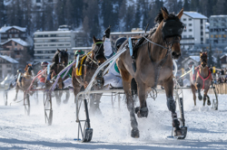 , Trotting race, 1700m, Grand Prix BMW, CHF 25000