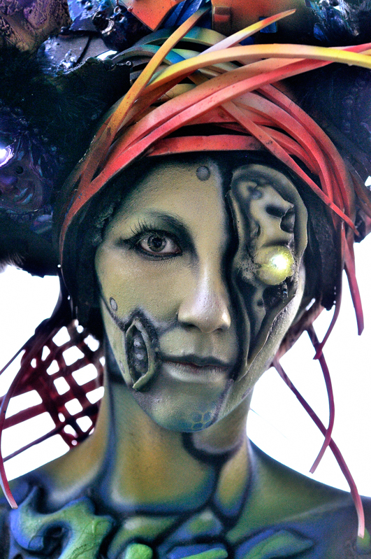 World Body Painting Festival 2014