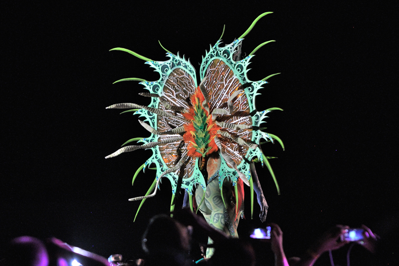 World Body Painting Festival 2014