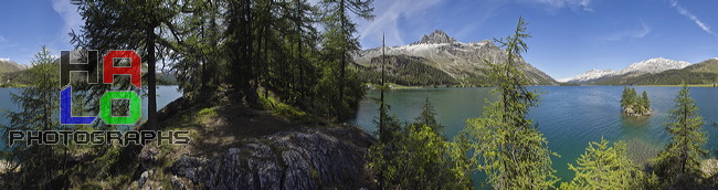 A lush hideout above Lej da Segl, Sasc da Corn, Plaun da Lej, Grisons, Switzerland, sports, fishing, Piz Rosatsch, Piz Surlej, Munt Arlas, Piz Corvatsch, Piz Margna, Moutt'Ota, Piz Materdell, Piz Lagrev, Piz Polaschin, Muottas Muragl, 08995-09027.jpg