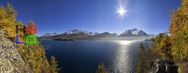 Autumn Gold, Sasc da Corn, Plaun da Lej, Grisons, Switzerland, Lej da Segl, Silsersee, Piz Rosatsch, Piz Surlej, Munt Arlas, Piz Corvatsch, Piz Margna, Moutt'Ota, black ice, Piz Fora, Piz Fedoz, Piz Glüschaint, Il Chapütschin, Piz Salacina, Piz Cacciabella, 17523-17586.jpg