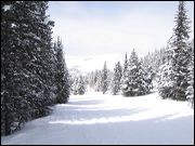 A 3 Day-Drive from Reno to Vail, Snow and Trees (don't you see that?), Vail, United States of America,  