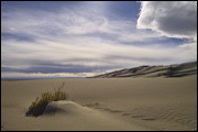 Nature at Work, Impression of the Great Sand Dunes, Alamosa, United States of America, Water, Sand, Nature