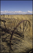 Junk Yard ART, The strong and contrasting colors of the Sky and these abandoned objects inspired me to select this place for a fun afternoon shooting pictures. , Alamosa, United States of America, Junk Yard