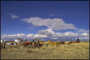 Junk Yard ART, The strong and contrasting colors of the Sky and these abandoned objects inspired me to select this place for a fun afternoon shooting pictures. , Alamosa, United States of America, Junk Yard