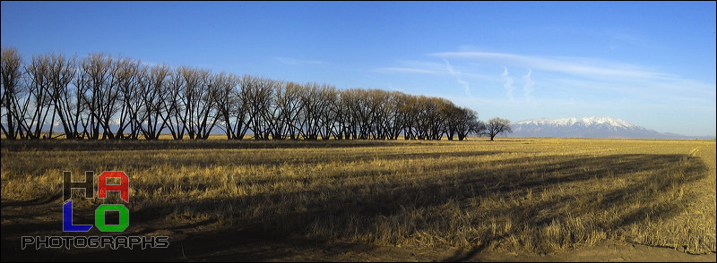 Breeding & feeding Grounds, The wetlands of the Alamosa Wildlife Refuge provide valuable, rare feeding and breeding grounds for many birds and other wildlife., Alamosa, Colorado, Wildlife, Birds, Panorama, Breeding Grounds, Feeding Grounds, 21126-21125_flat.jpg