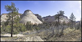 Zion National Park,  , 2006 / 04_19 NP Zion, Springdale, United States of America, Colorado Plateau, The Grand Staircase, Panorama, Sun, Horizon, Sky, Mountains, Trees
