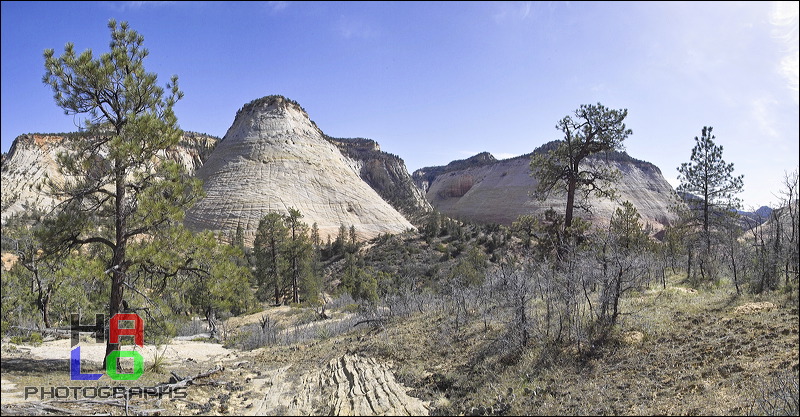 Zion National Park,  , Springdale, Utah, Colorado Plateau, The Grand Staircase, Panorama, Sun, Horizon, Sky, Mountains, Trees, 00566-00569.jpg