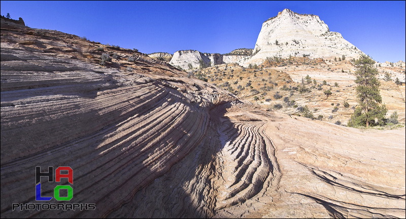 Zion National Park,  , Springdale, Utah, Colorado Plateau, The Grand Staircase, Rock Formations, Trees, Mountains, 00767-00772_flat.jpg