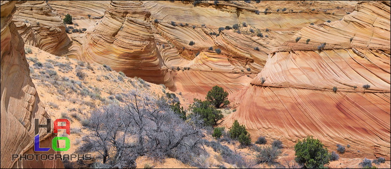 South Coyote Buttes, Paria Canyon Vermilion Cliffs Wilderness Area, The Coyote Buttes South are close to the famous 'Wave'. Acceess to this area is limited to 20 Persons a day. A hiking Permit is required. Inquire at the Ranger station., Page, Arizona, The Wave, Coyote Buttes South, Paria Canyon, Vermilion Cliffs, Wilderness Area, Page, Kanab, petrified Sand Dunes, Wind, Erosion, 01118-01121.jpg