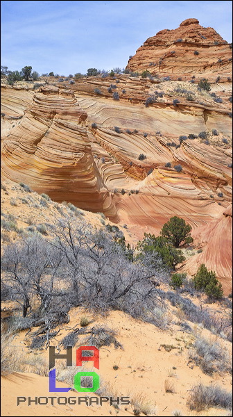 South Coyote Buttes, Paria Canyon Vermilion Cliffs Wilderness Area, The Coyote Buttes South are close to the famous 'Wave'. Acceess to this area is limited to 20 Persons a day. A hiking Permit is required. Inquire at the Ranger station., Page, Arizona, The Wave, Coyote Buttes South, Paria Canyon, Vermilion Cliffs, Wilderness Area, Page, Kanab, petrified Sand Dunes, Wind, Erosion, 01122-01125.jpg