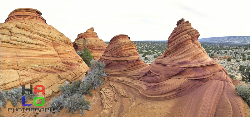 South Coyote Buttes, Paria Canyon Vermilion Cliffs Wilderness Area, The Coyote Buttes South are close to the famous 'Wave'. Acceess to this area is limited to 20 Persons a day. A hiking Permit is required. Inquire at the Ranger station., Page, Arizona, The Wave, Coyote Buttes South, Paria Canyon, Vermilion Cliffs, Wilderness Area, Page, Kanab, petrified Sand Dunes, Wind, Erosion, 01460-01463.jpg