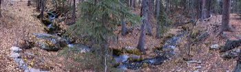 Panorama of Upper Metz Creek, Evergreen, UNITED STATES, The Big Bend of Metz Creek, Metz Creek dressed in autumn style.,  