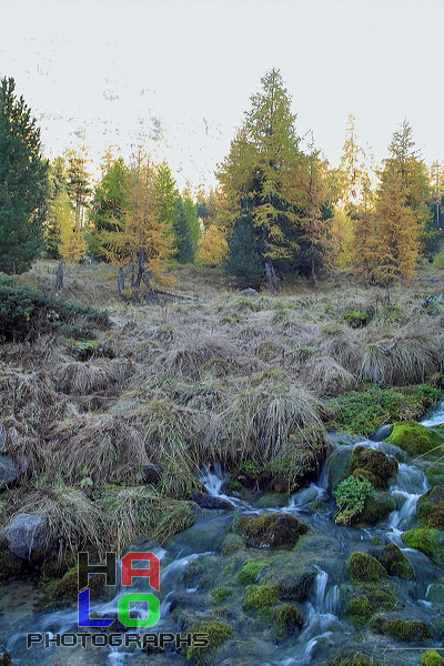 Exposure for low-lit area: 1/10 f:5.6, Hahnensee, St. Moritz, Switzerland, High Dynamic Range, img16013.jpg