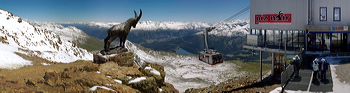 Panorama of Piz Nair, St. Moritz, SWITZERLAND, A Mountain Goat (an Ibex) on Piz Nair overlooking the Engadin, Over a time span of ten years the Engadin gets snow at least once in every month. This time it was mid July when a north-western cold front pushed aside a low laying moisture-ladden layer of air. The result unveiled freshly powdered marvelous mountain tops with snow and lavish greens in the valleys.,  